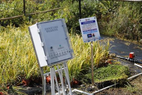 1662192542320546.jpg 301.jpg