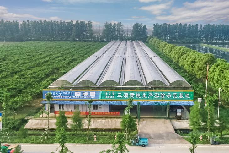 1684115855483881.jpg 101.jpg