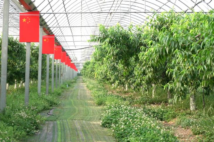 1684115932195264.jpg 102.jpg